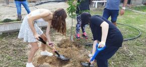 L’Hospital Dia Infantil de Tortosa han fet una plantada d’arbres a l’hort terapèutic