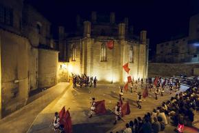El Servei Prelaboral d'Amposta a la festa del Renaixement de Tortosa