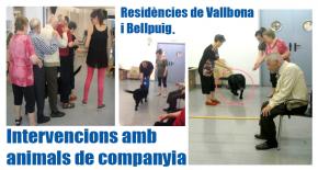 Compartint coneixement: Residncies de Vallbona i Bellpuig en intervencions assistides amb animals