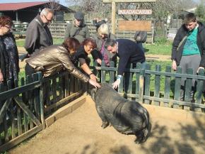 La llar residncia de Tarragona de la Fundaci Pere Mata visita una granja escola
