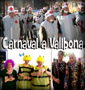 Carnaval a la Residncia de Vallbona - Barcelona