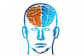 Afectació i adaptació al dany cerebral adquirit (ictus i altres patologies)