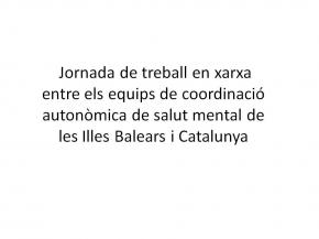 Jornada de Treball en Xarxa de Salut Mental Catalunya - Illes Balears